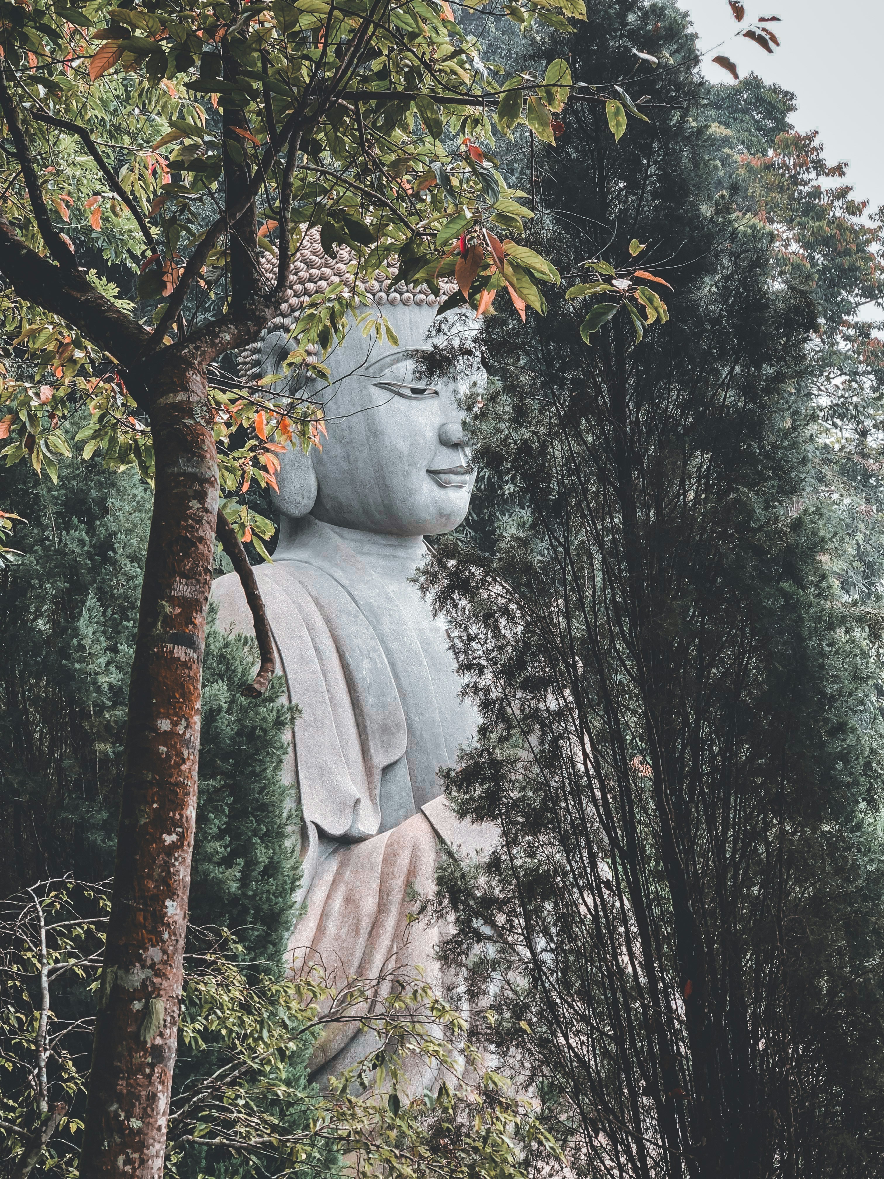 Leshan Giant Buddha